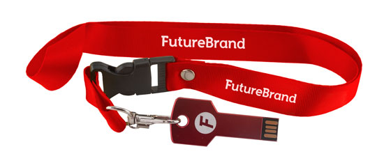 10 Cordini In Nylon Leggeri Per USB E Badge, Portachiavi Per Unità Flash E Carte D'identità
